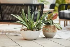 Allen + Roth 11.5In Faux Concrete Planter Grey 12 Allen + Roth 11.5In Faux Concrete Planter Grey -Allen + Roth Shop 1062827 AlternateImage2