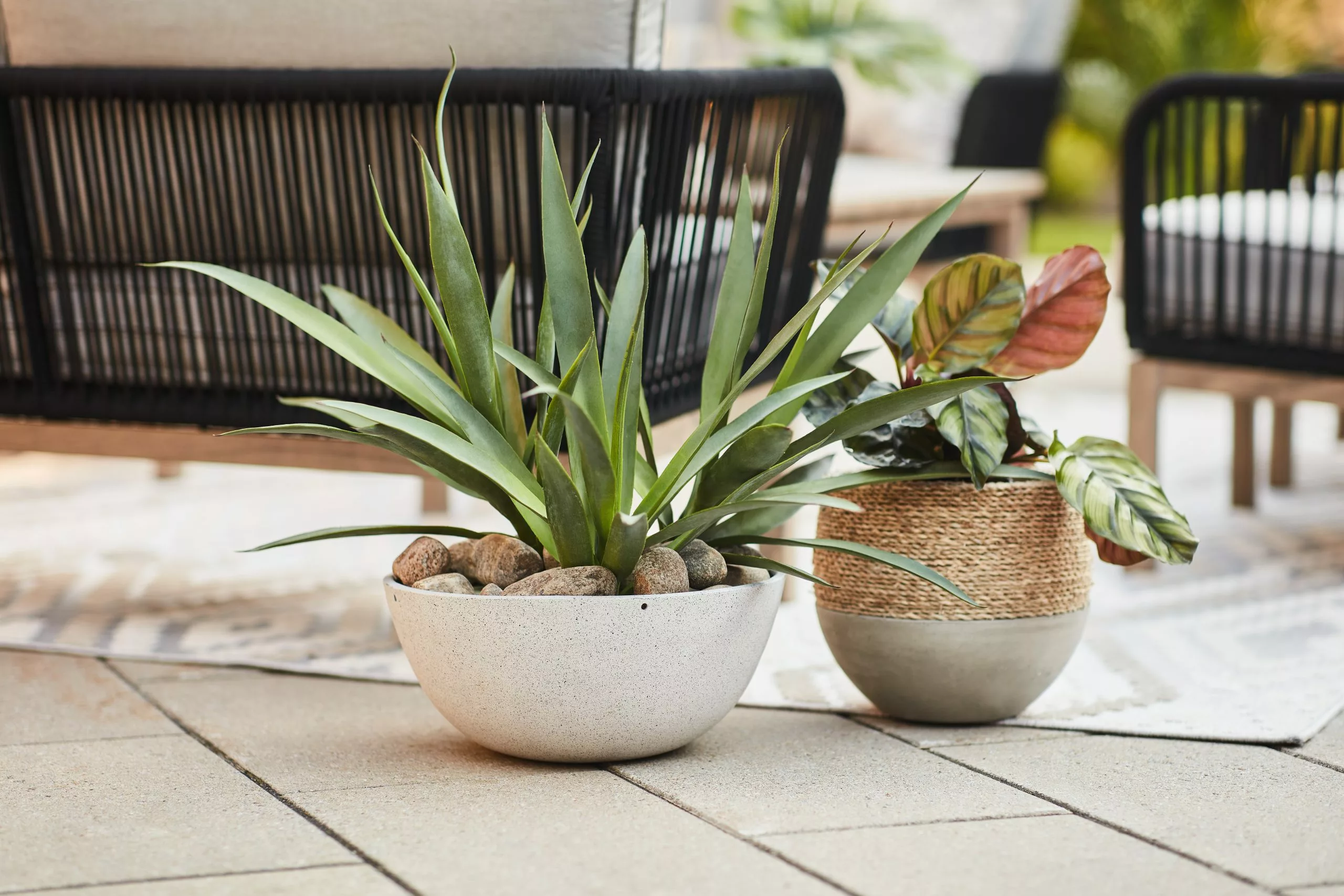 Allen + Roth 11.5In Faux Concrete Planter Grey 4 Allen + Roth 11.5In Faux Concrete Planter Grey - Image 4