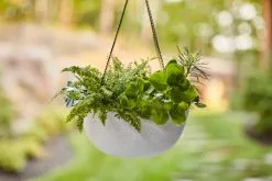 Allen + Roth 13.3In Speckled Hanging Basket White 11 Allen + Roth 13.3In Speckled Hanging Basket White -Allen + Roth Shop 1062834 AlternateImage1