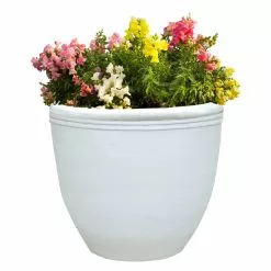 ALLEN + ROTH FIX-ME -Allen + Roth Shop 1596558 42211027