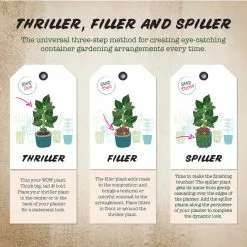 ALLEN + ROTH FIX-ME -Allen + Roth Shop 1596558 42211029