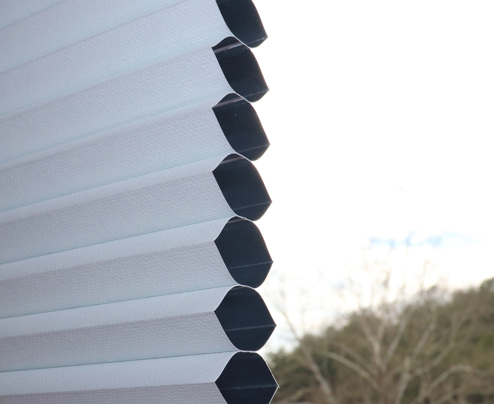 "allen + Roth Blackout Cellular Shade - 24.5"" X 64"" - Polyester - White" 3 "allen + Roth Blackout Cellular Shade - 24.5"" X 64"" - Polyester - White" - Image 3