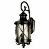 Allen + Roth 20.5-in Bronze Criss Cross Wall Lantern