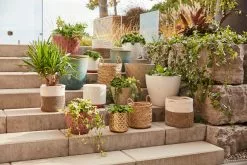 Allen + Roth 1-Pack 8.25-in W X 8.25-in H Metal Gold Planter -Allen + Roth Shop 4664669 AlternateImage5