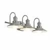 Allen + Roth 3-Light Hainsbrook Antique Pewter Standard Bathroom Vanity Light