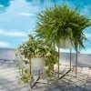 Allen + Roth Planter With Stand - 12.4-in X 15.2-in - White And Gold