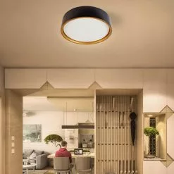 Allen + Roth 1PK 14-in CCT Circle Flush Mount-Matte Black -Allen + Roth Shop 899426 44038930