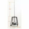 ALLEN + ROTH Holiday Living Black Outdoor Metal LED Pendant