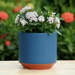 Allen + Roth 1-Pack 8 X 7.7 Navy Ceramic Planter -Allen + Roth Shop 918712 16481051