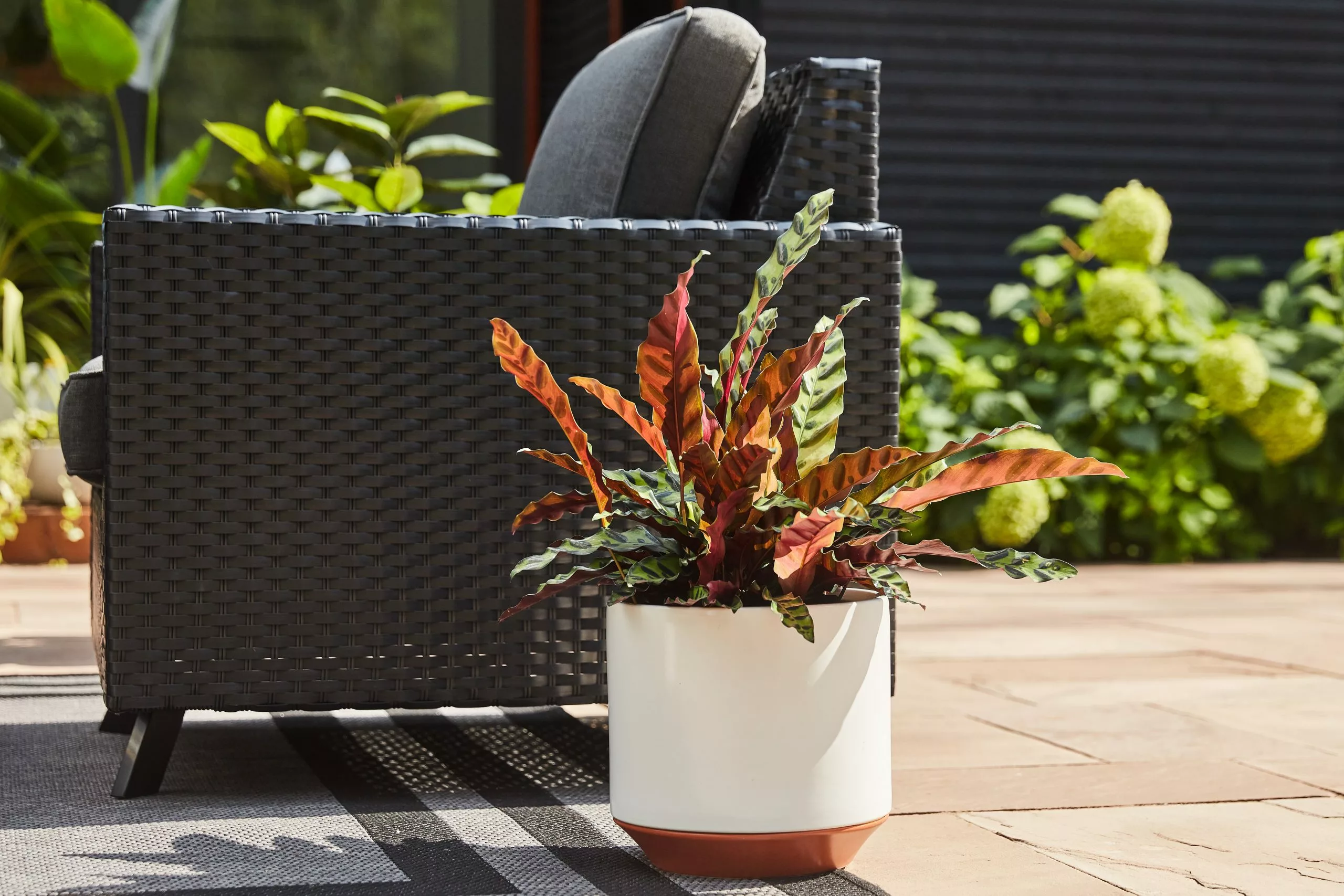 Allen + Roth 1-Pack 10.2 X 9.8 White Ceramic Planter 2 Allen + Roth 1-Pack 10.2 X 9.8 White Ceramic Planter - Image 2