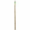 ALLEN + ROTH Miracle-Gro Garden Stake - Bamboo - 5-ft - 4-Pack