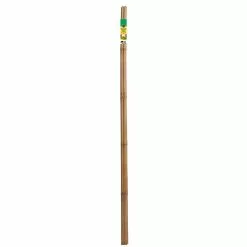 ALLEN + ROTH Miracle-Gro Garden Stake - Bamboo - 5-ft - 4-Pack